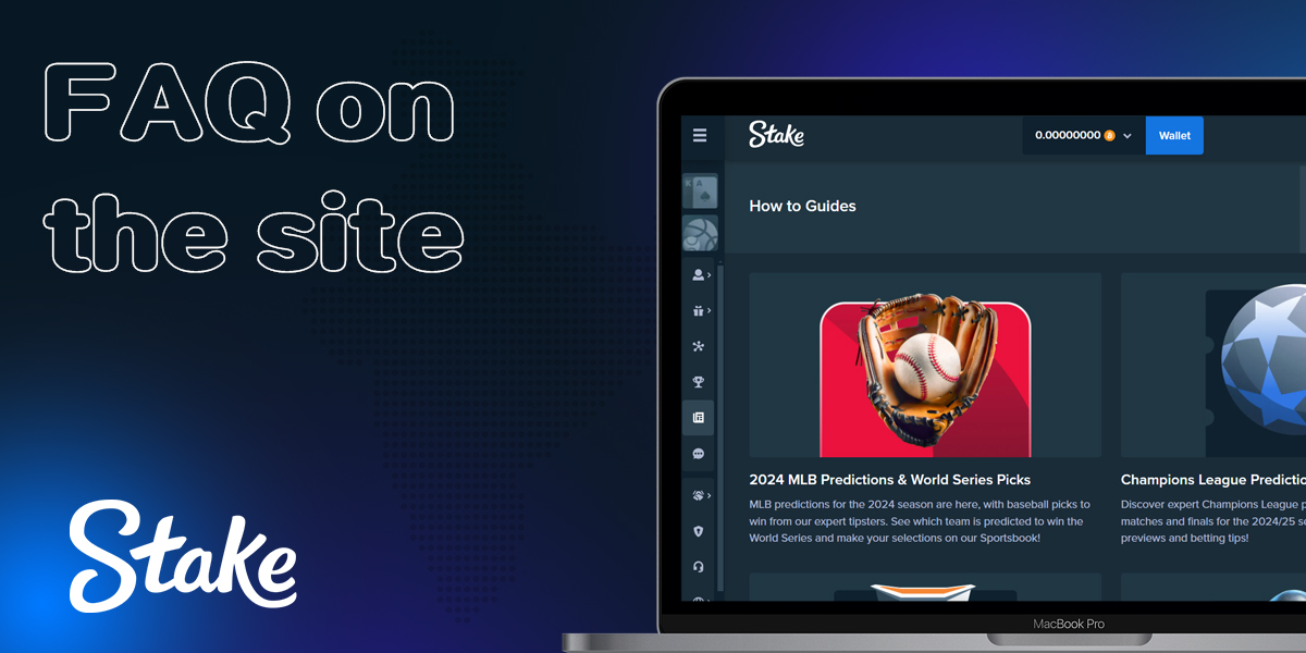 Description of the FAQ section on the Stake online bookmaker's website