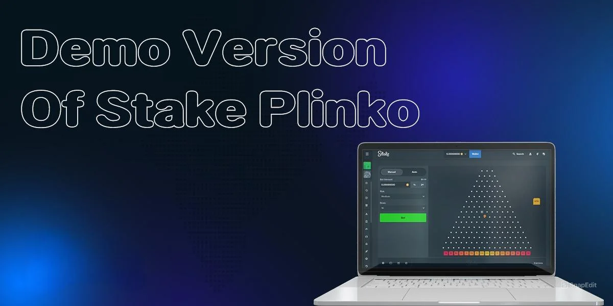 Features of the demo version of the Plinko game at Stake casino india