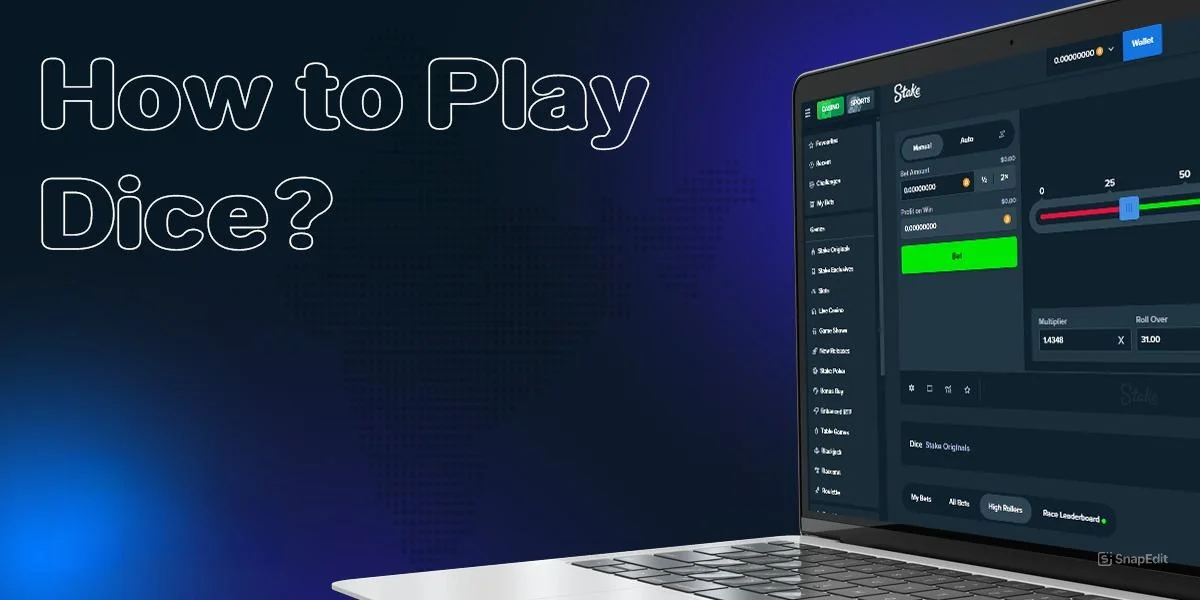 Dice game instructions for Stake Casino users
