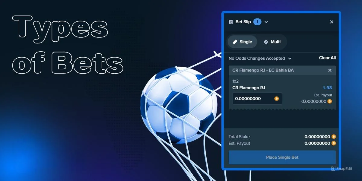 Types of bets available on the online bookmaker Stake's website